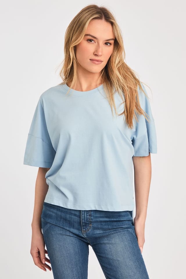 French Connection French Connection Women's 2 Pack Cotton Crew Neck Boxy Fit Short Sleeve T-Shirts in Blue - 2
