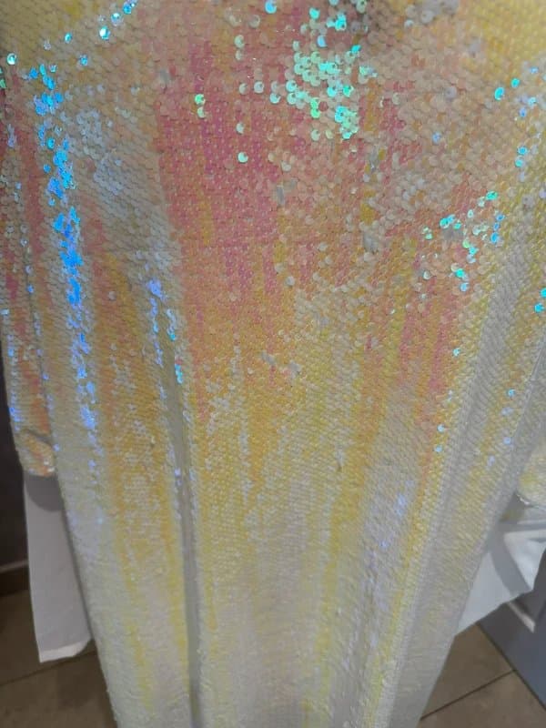 Never Fully Dressed High/Low Sequined Back Top