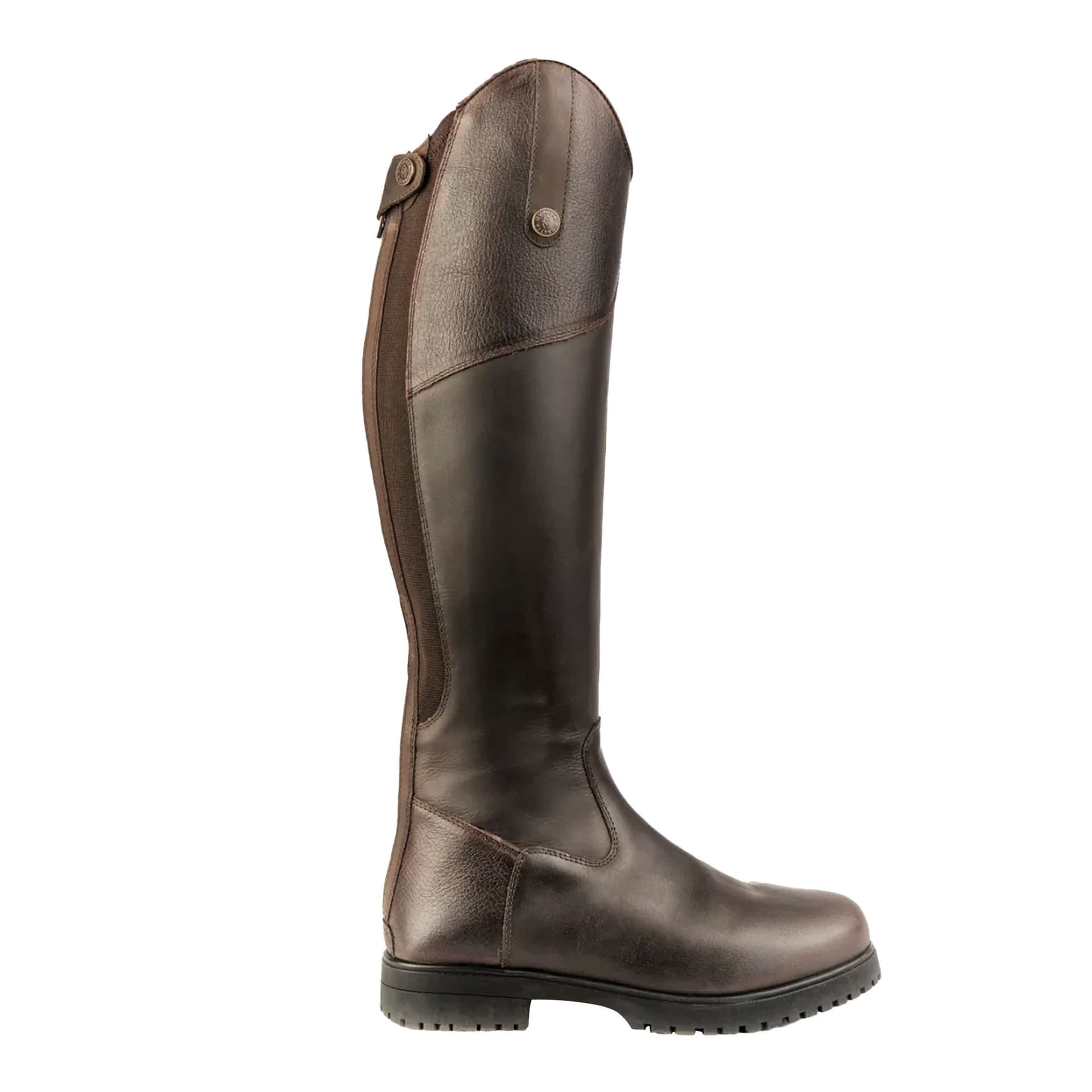 Moretta Moretta Women's Ventura Leather Riding Boots in Dark Brown
