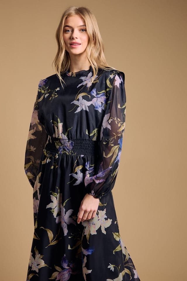 Oasis Oasis Women's Floral Organza Shirred Waist Midi Dress in Navy - 2
