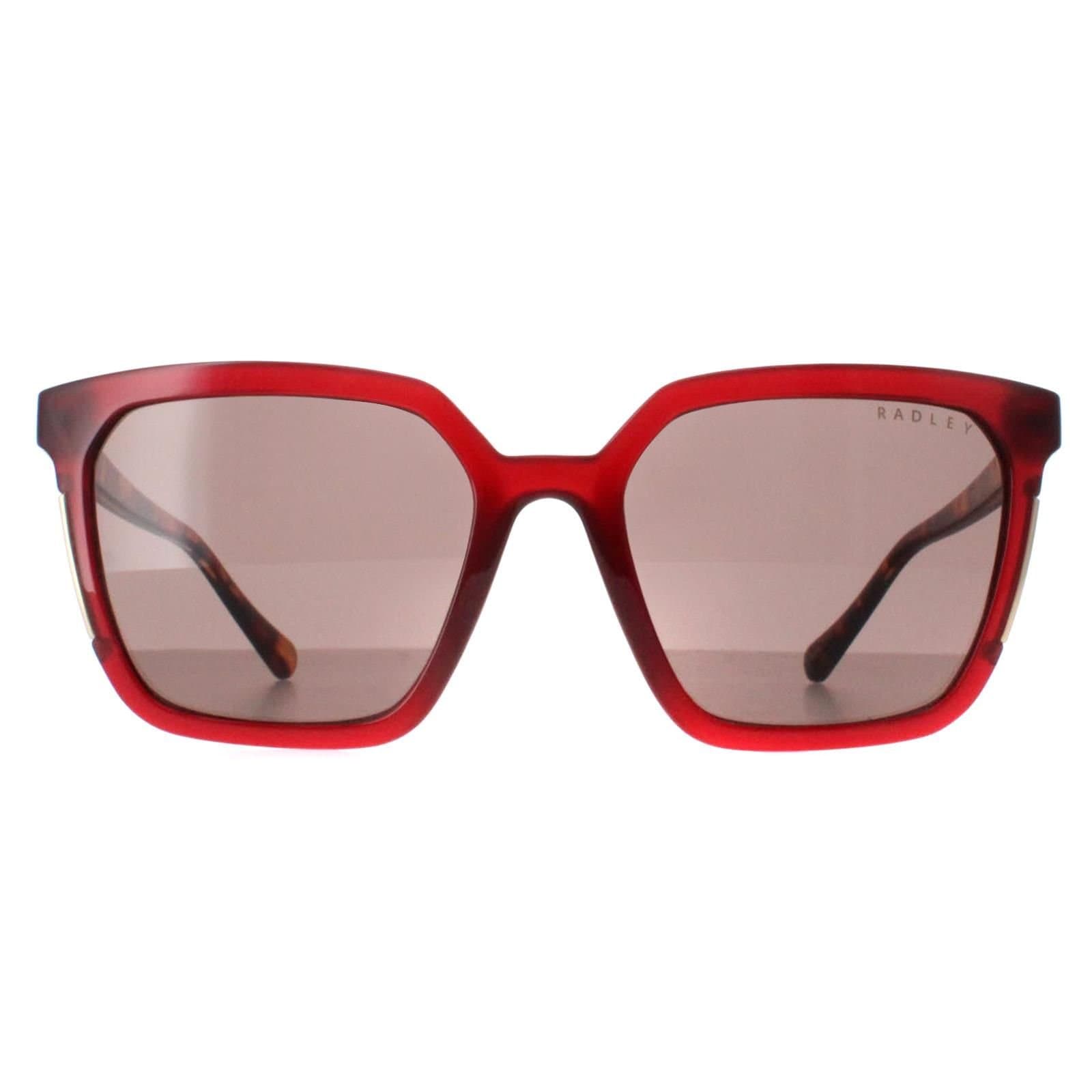 Radley Radley Women's Square Transparent Burgundy Brown Allington 6506 in Red