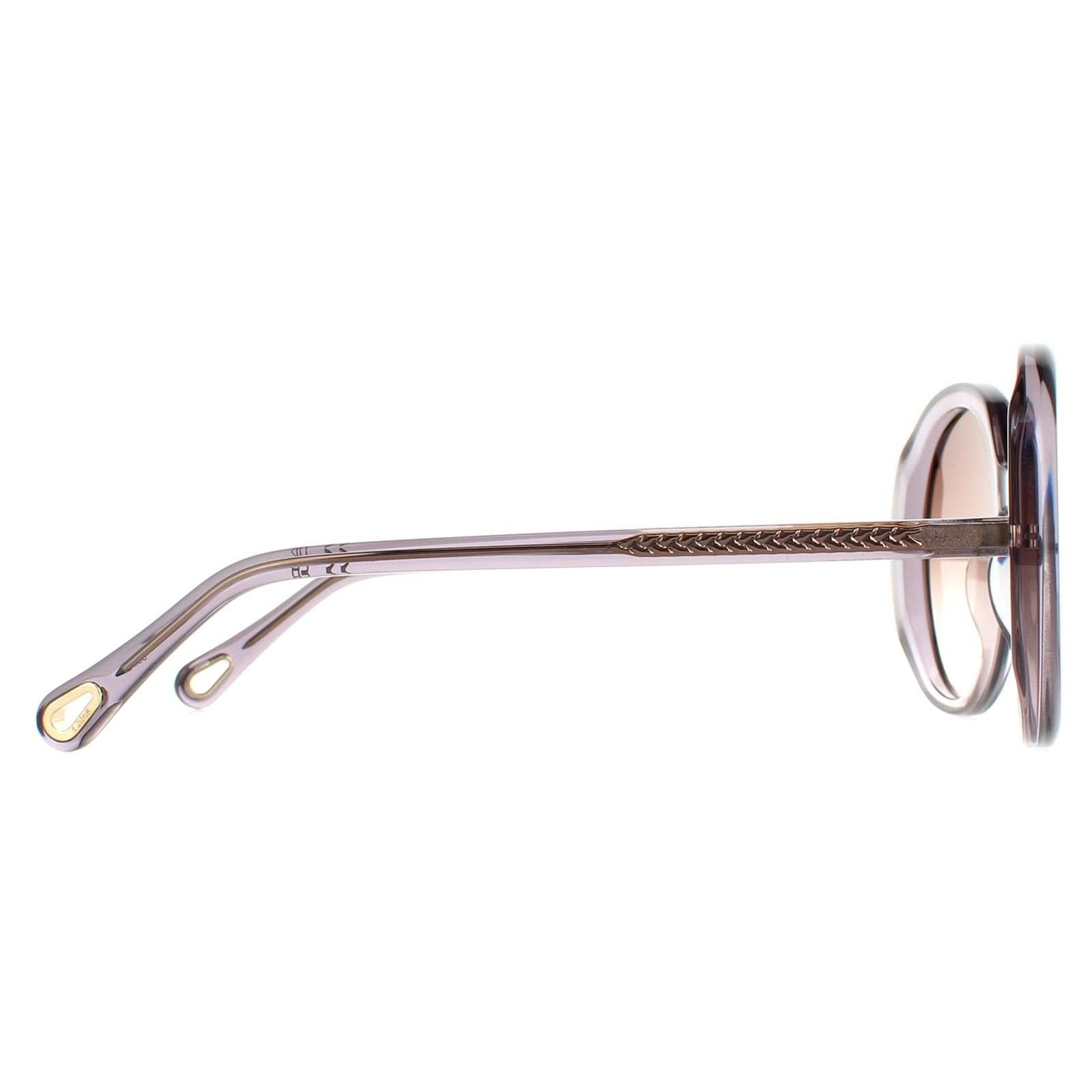 Chloé Chloé Women's Oval Transparent Grey Brown Gradient CH0007S - 4