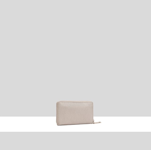 Dents Dents Women's Lucia Leather Purse in Silver - 2