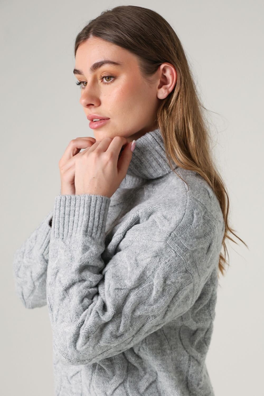 French Connection French Connection Women's Cable Knit Roll Neck Long Sleeve Jumper in Light Grey - 4