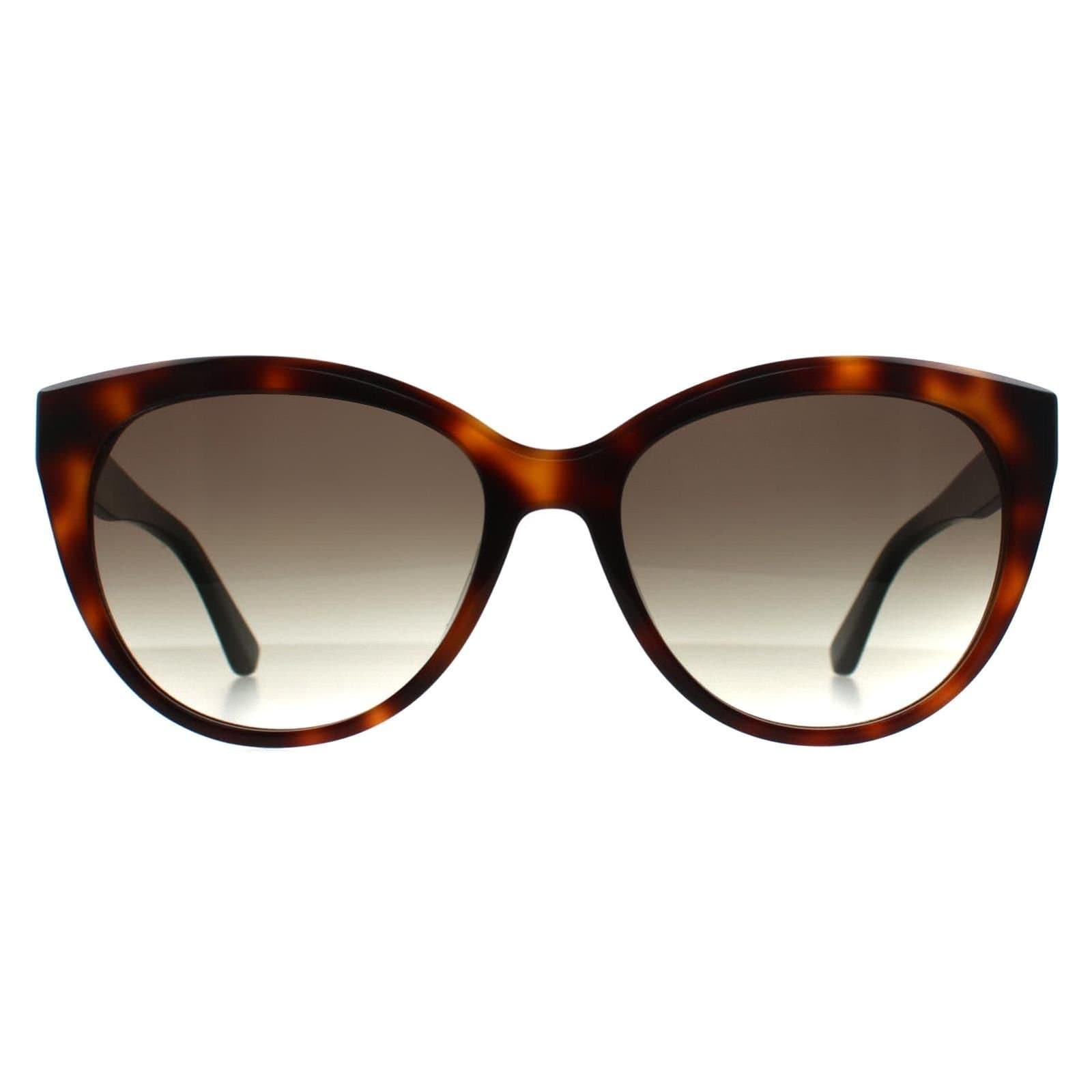 Calvin Klein CALVIN KLEIN Women's Cat Eye Havana Black Brown Gradient CK22520S