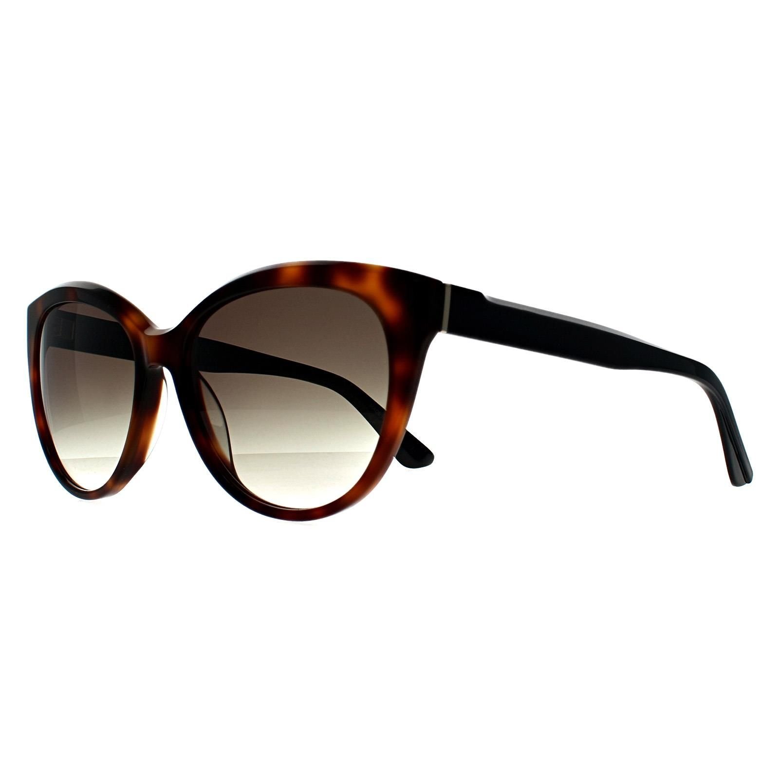 Calvin Klein CALVIN KLEIN Women's Cat Eye Havana Black Brown Gradient CK22520S - 2