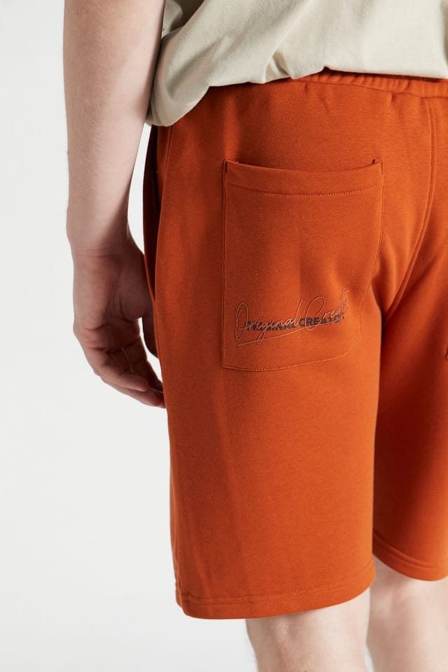Original Creator Original Creator Men's Scripture Shorts in Brown - 3