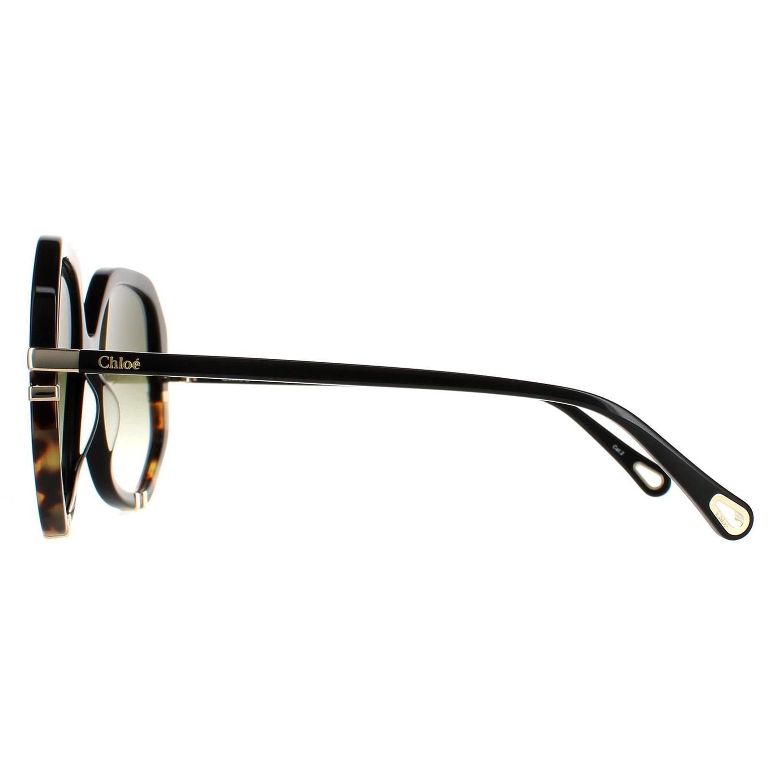 Chloé Chloé Women's Square Shiny Black & Tortoise Green Gradient CH0105S - 3