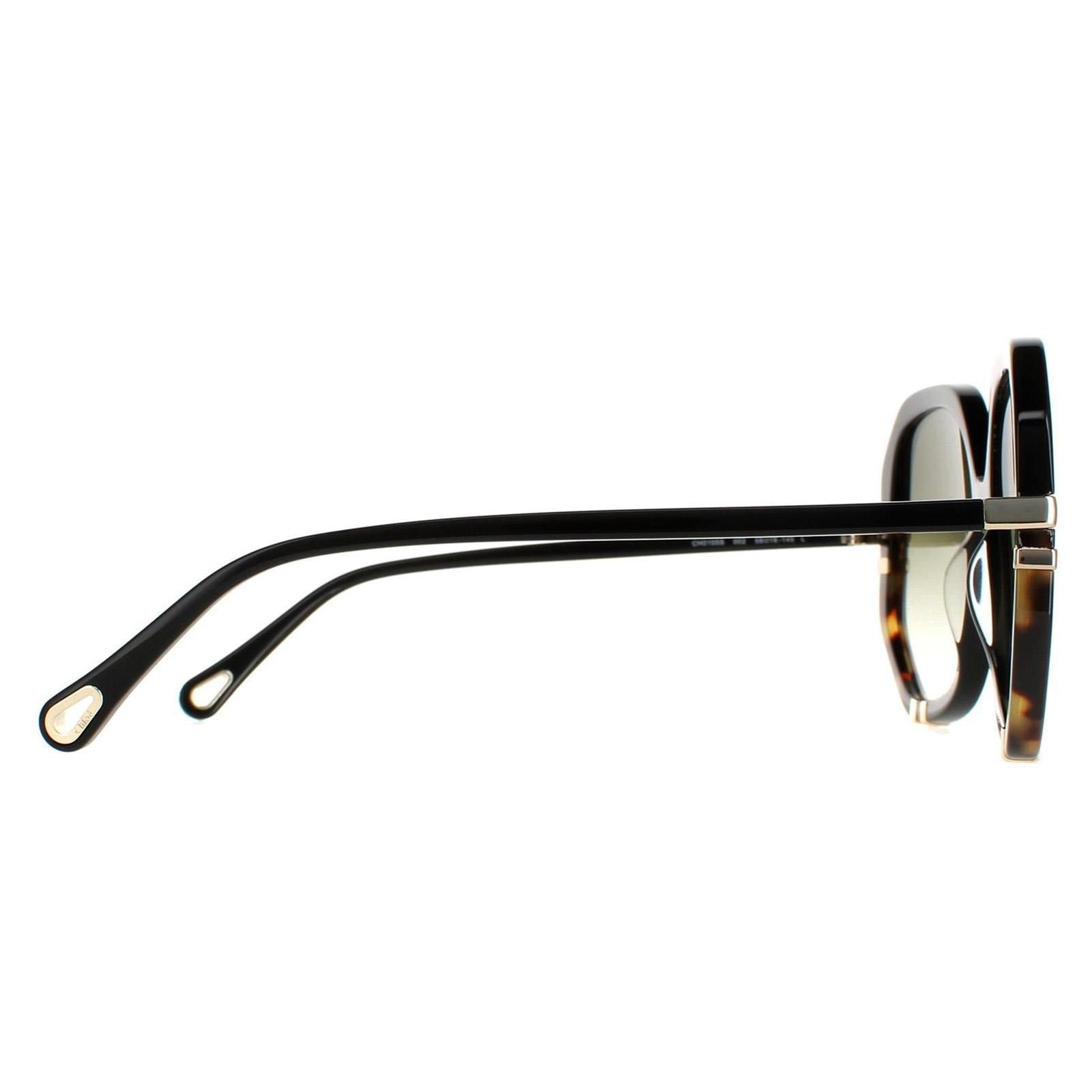 Chloé Chloé Women's Square Shiny Black & Tortoise Green Gradient CH0105S - 4