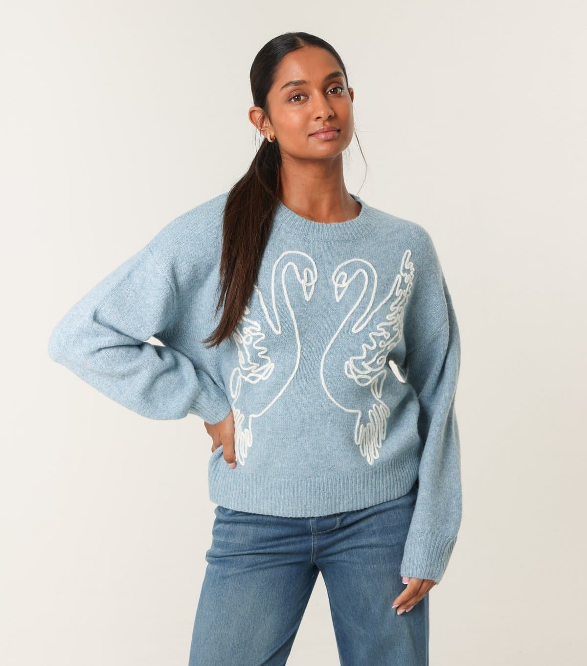 Blue Vanilla Women's Blue Swan Embroidered Jumper Blue Vanilla New Look