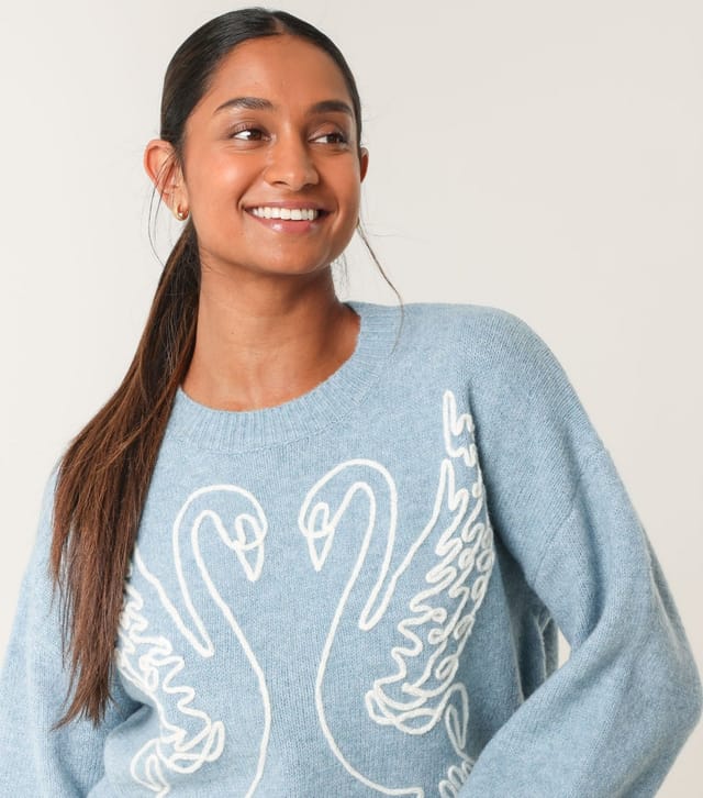 Blue Vanilla Women's Blue Swan Embroidered Jumper Blue Vanilla New Look - 3