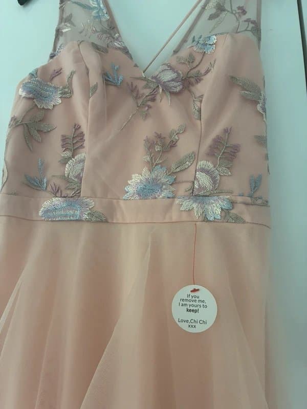 chi chi london Brand New With Tags (size 8) Chi Chi London Embroidered Tulle Dress & Soft Blush Tulle Skirt