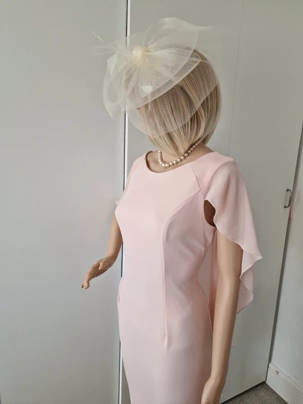 Joanna Hope Joanna hope size 12 bnwot gorgeous special occasion cape dress pale peach