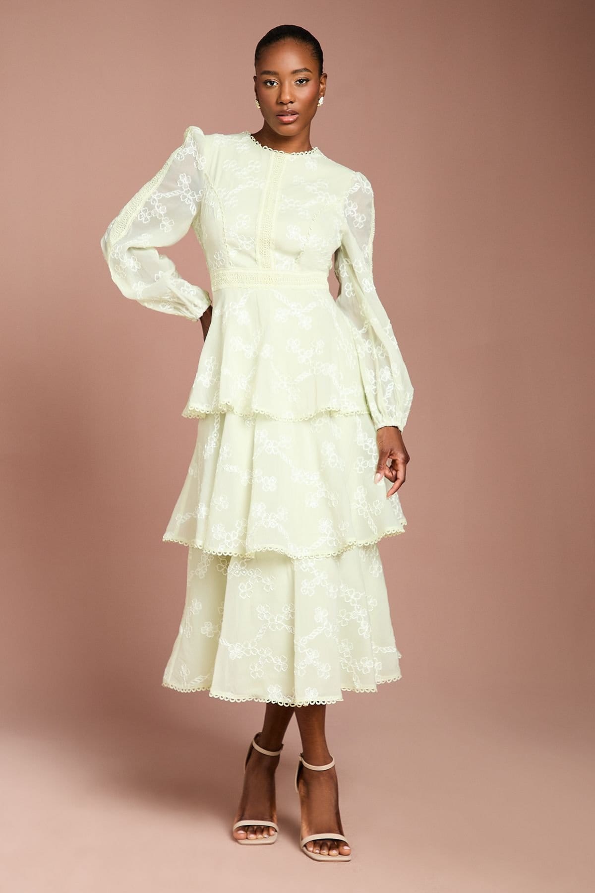 Coast Sage Lace Trim Embroidered Mesh Midi Dress