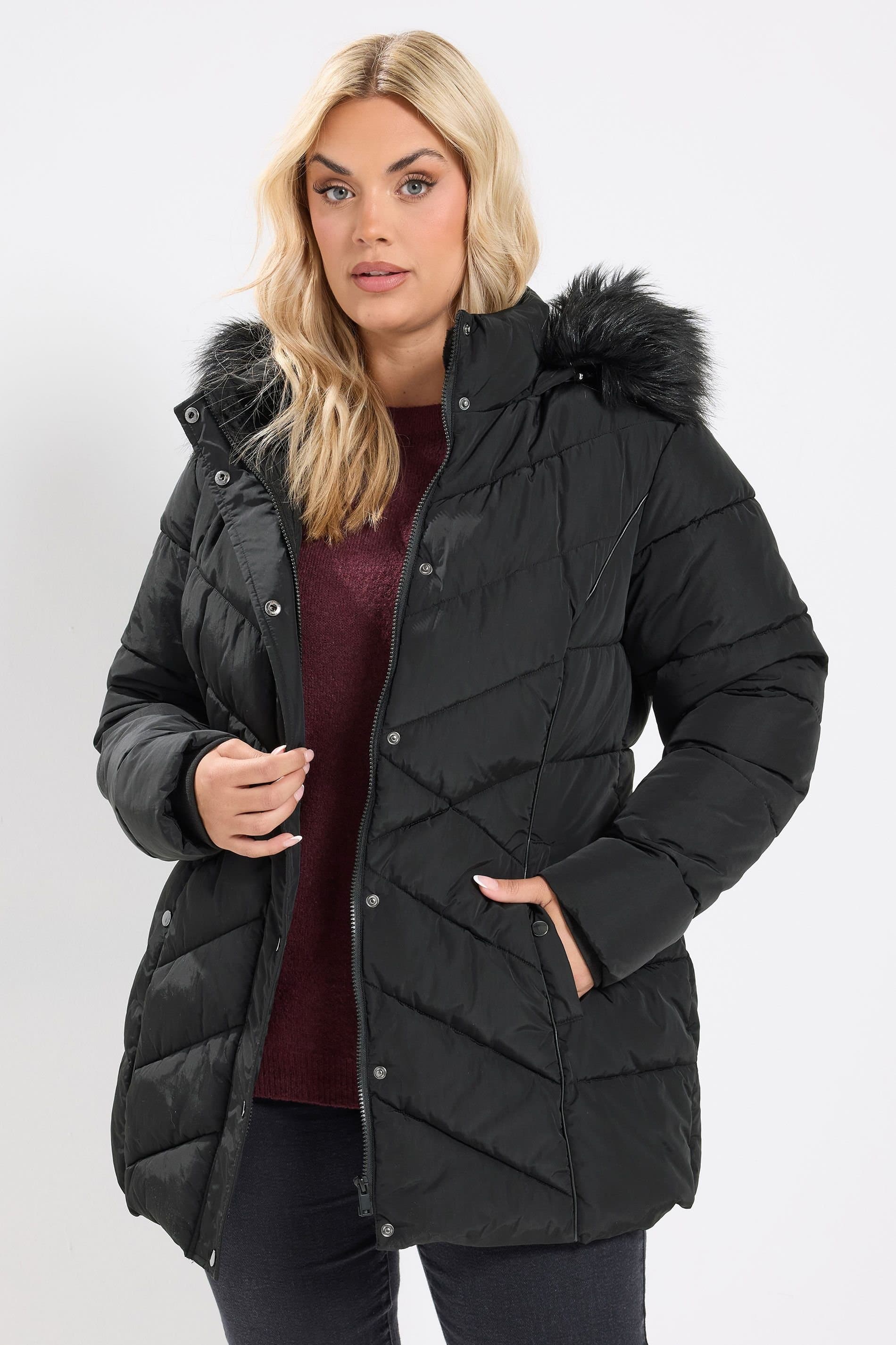 Yours Yours Women's Short Padded Coat in Black