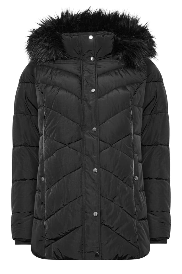 Yours Yours Women's Short Padded Coat in Black - 2