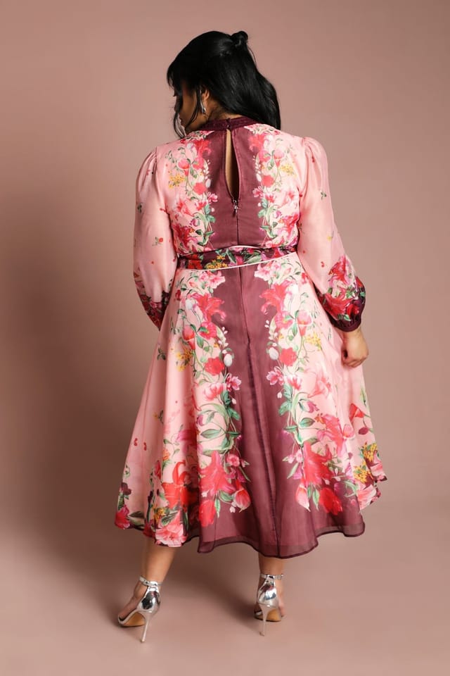 Coast Coast Women's Plus Long Sleeve Organza Midi Dress With Belt in Pink - 3