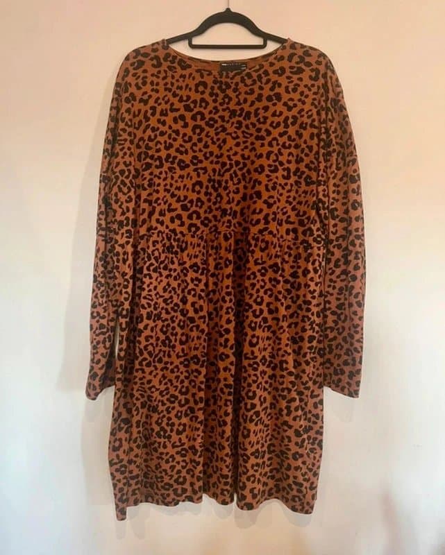 ASOS Design Long sleeve leopard print dress