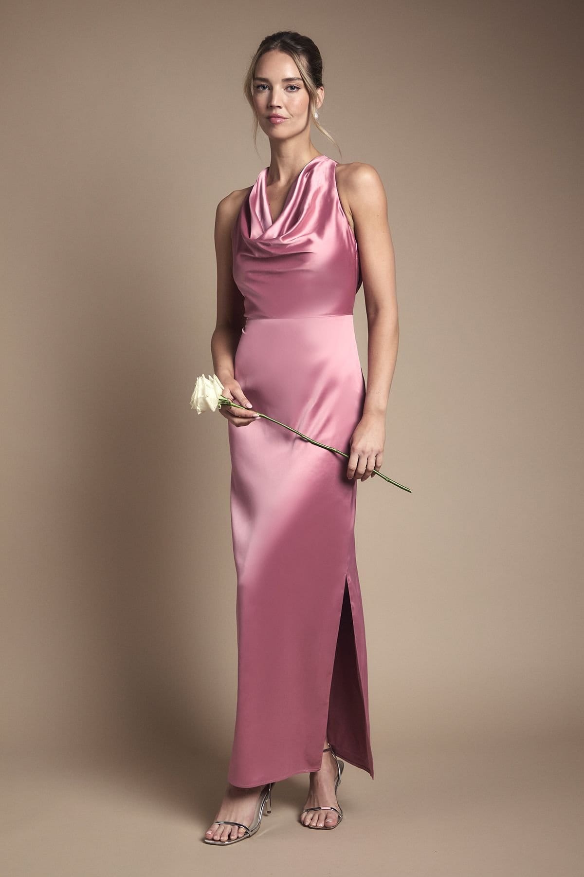 dusty rose