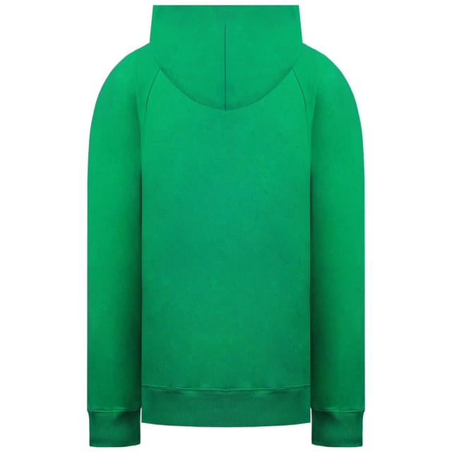 Champion Champion Men's Santa Ana College Green Hoodie - 2