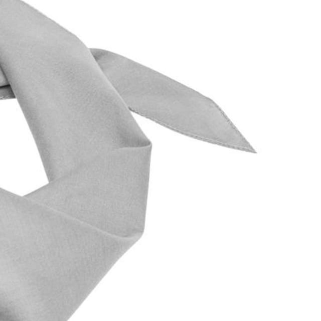Myrtle Beach Myrtle Beach Men's Triangular Scarf in Light Grey - 2