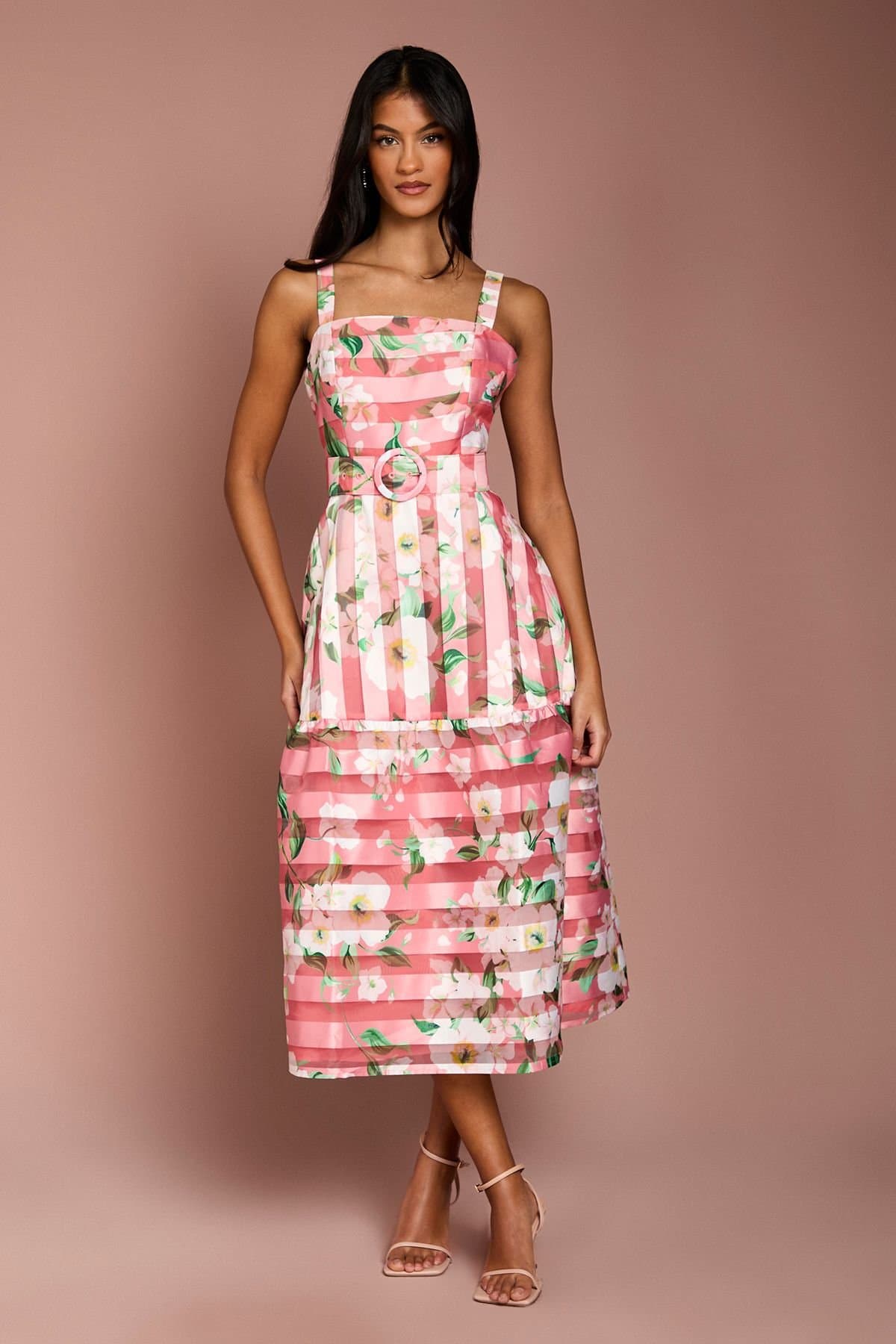 Coast Coast Women's Petite Printed Floral Burnout Organza Midi Dress in Pink