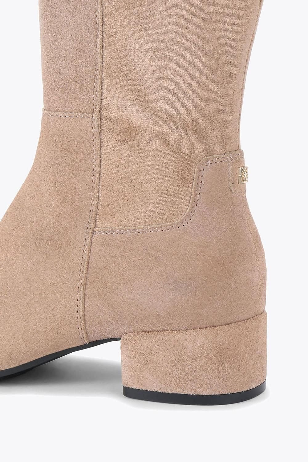 KG Kurt Geiger KG Kurt Geiger Women's 'Tabina High Leg' Suede Boots in Taupe - 4