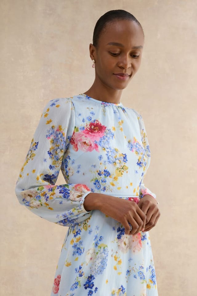 Hobbs London Hobbs London Women's Constance Floral Midi Dress in Pale Blue - 3