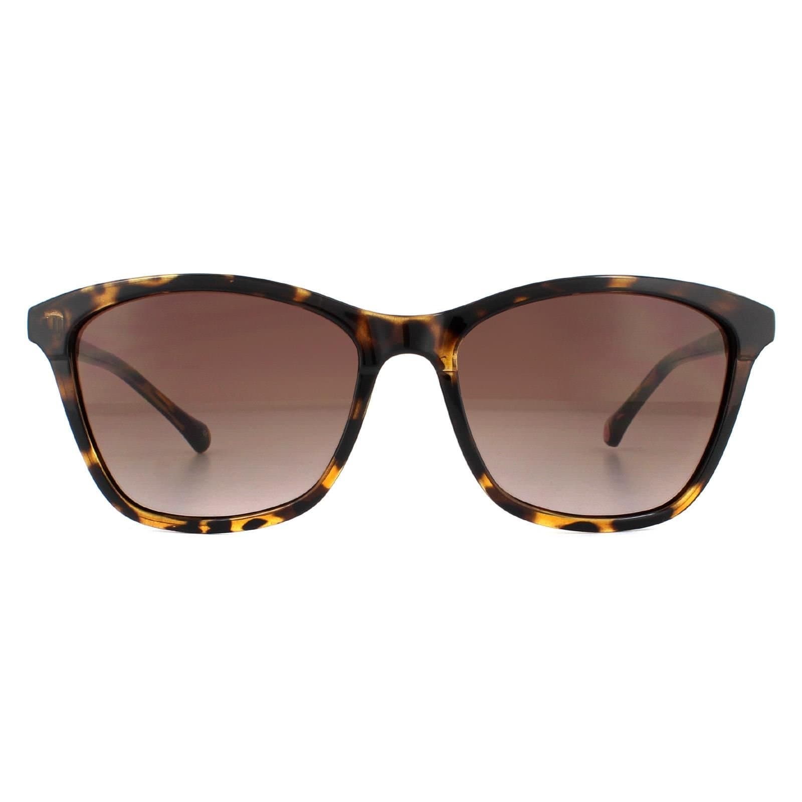 Ted Baker Ted Baker Women's Square Havana Brown Gradient TB1440 Tari Sunglasses