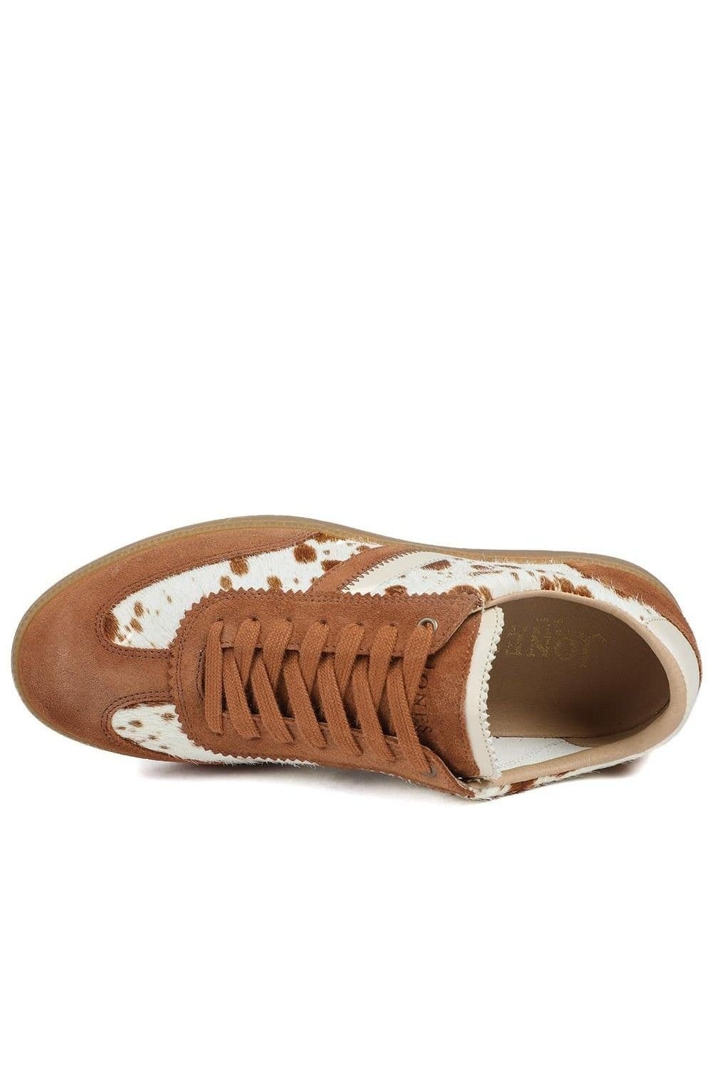 Jones Bootmaker Jones Bootmaker Women's Annora Casual Leather Trainers in Tan - 4