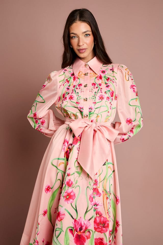 Coast Coast Women's Boarder Print Organza Shirt Dress in Blush - 2