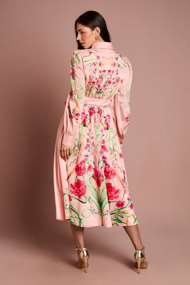 Coast Coast Women's Boarder Print Organza Shirt Dress in Blush - 3