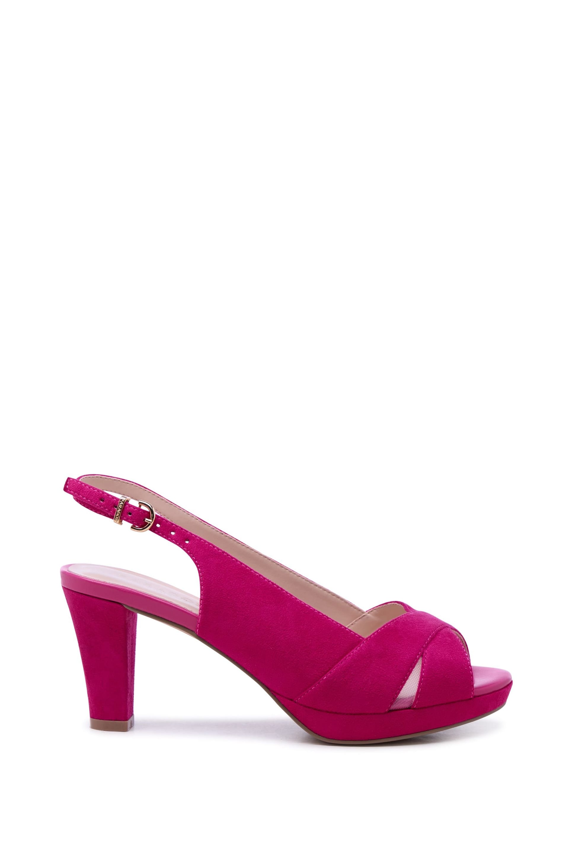 fuchsia