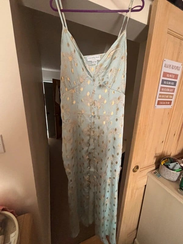Never Fully Dressed Dress/Long Silk Cami - 1