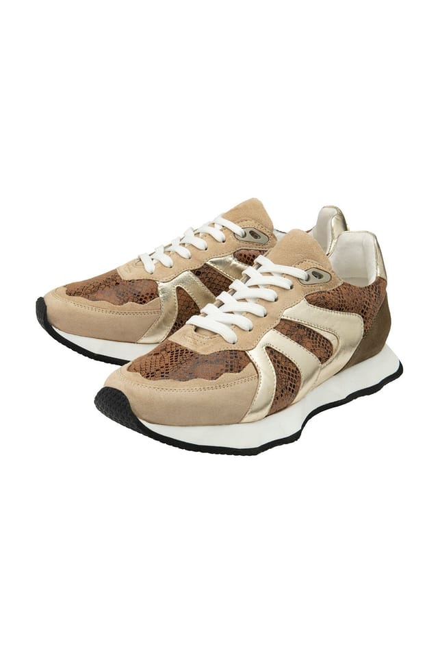 Ravel Ravel Women's 'Innes' Leather Lace-Up Trainers in Beige - 2