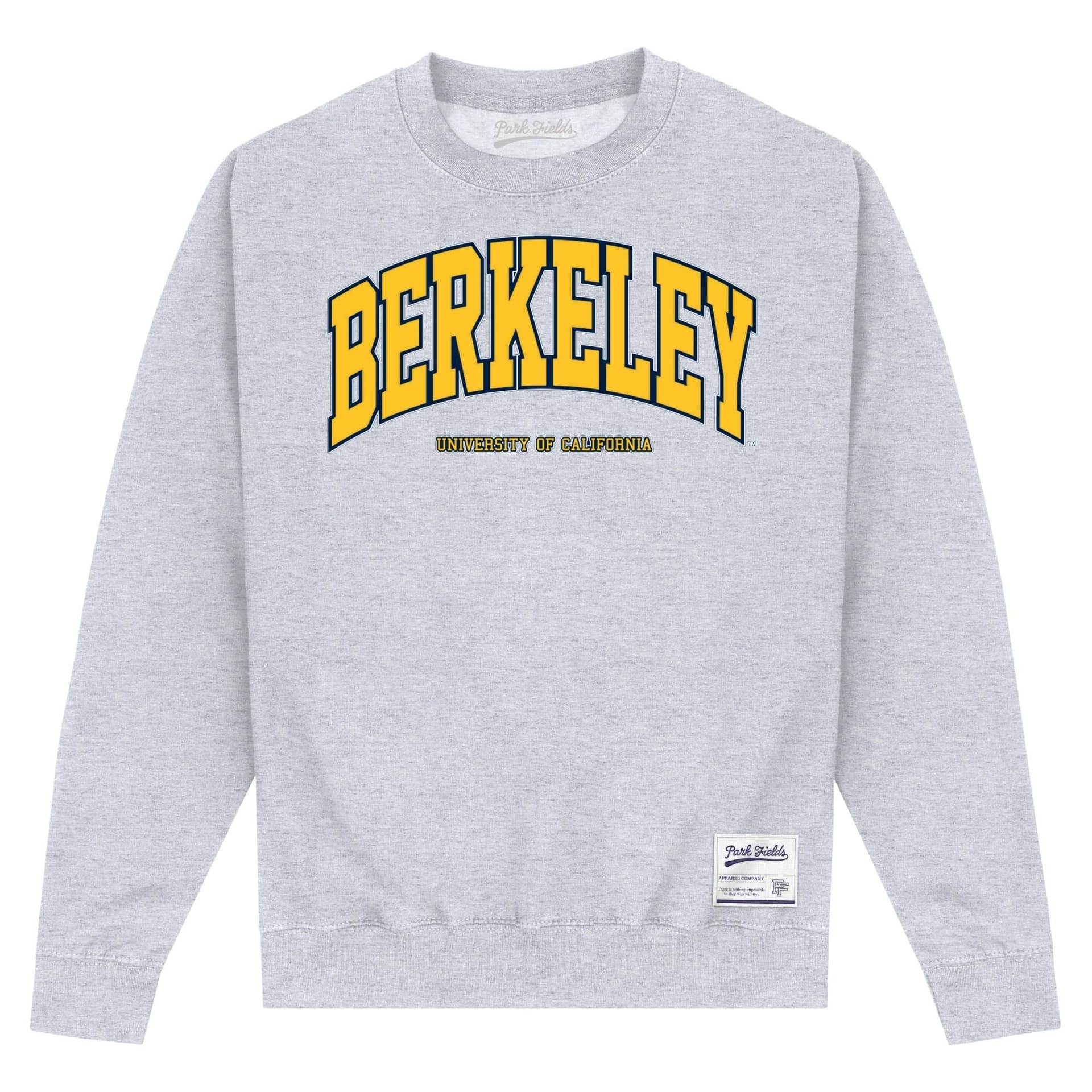 UC Berkeley UC Berkeley Men's Arch Sweatshirt in Grey