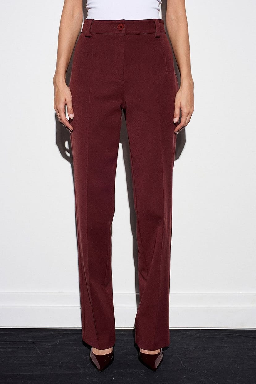 Dilvin Dilvin Women's High-waist Straight-leg Pleated Trousers in Burgundy - 1