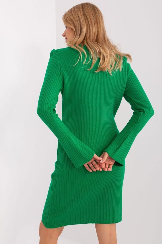 Love Lace Love Lace Women's Ribbed Acrylic Midi Stand Collar Dress in Green - 3