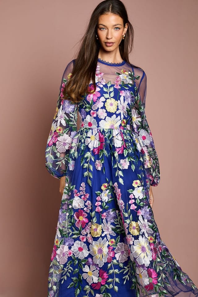 Coast Coast Women's Muse Long Sleeve Embroidered Maxi Dress in Blue - 2