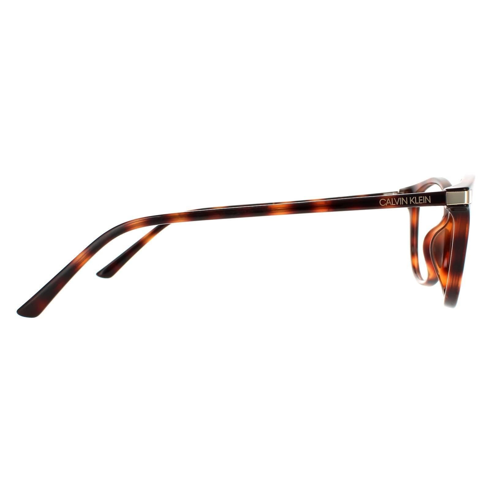 Kate Spade Kate Spade Women's Square Havana Pattern Brown Gradient Kiya/S - 4