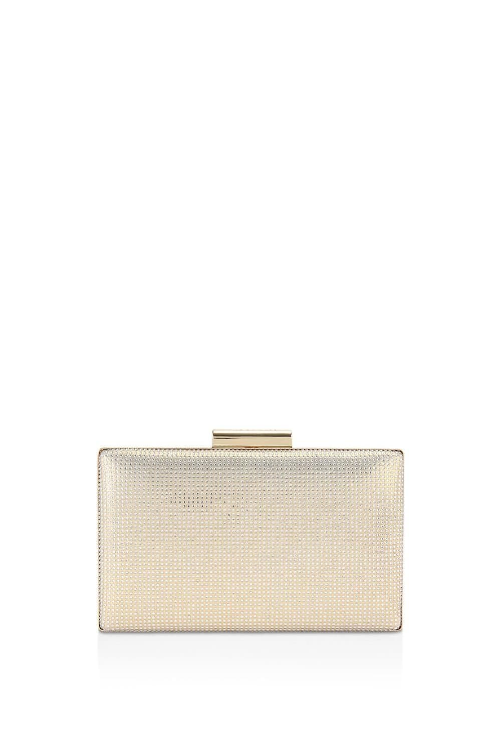 Carvela Carvela Women's 'Aintree Clutch' Bag in Bronze