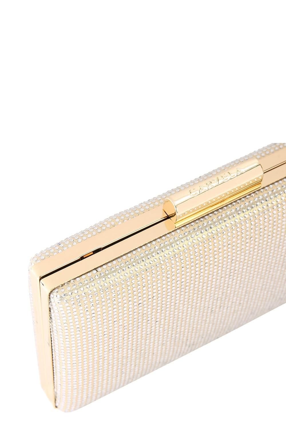 Carvela Carvela Women's 'Aintree Clutch' Bag in Bronze - 4