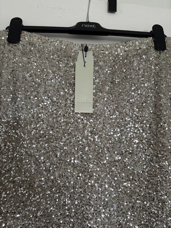 Never Fully Dressed Silver Sequin Midi Skirt