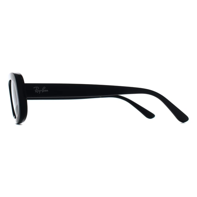 Ray-Ban Ray-Ban Women's Oval Black Grey Gradient Polarized RB2221 - 3