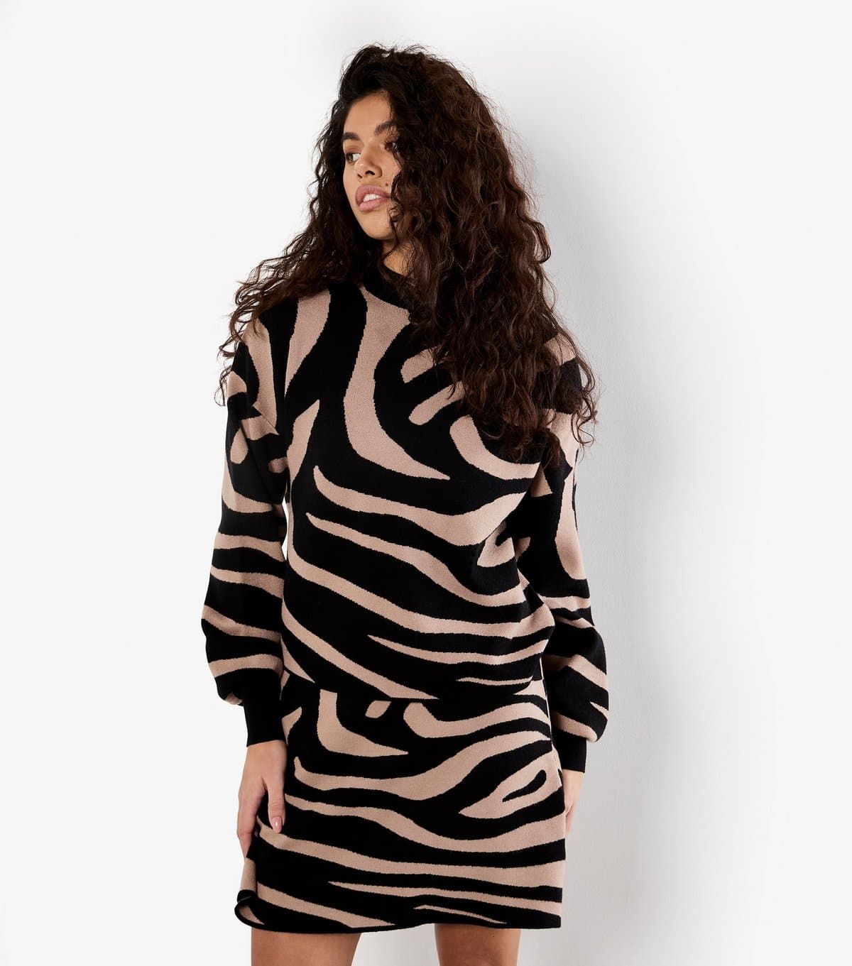 Apricot Women's Black Zebra Pattern Jumper Apricot New Look