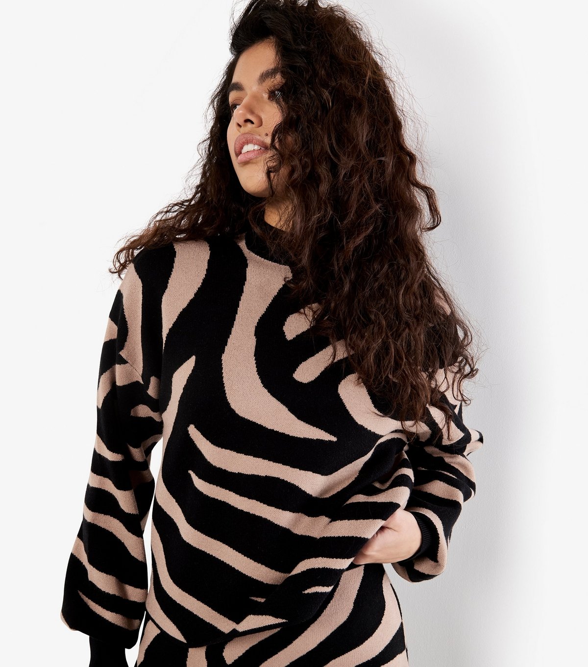 Apricot Women's Black Zebra Pattern Jumper Apricot New Look - 4