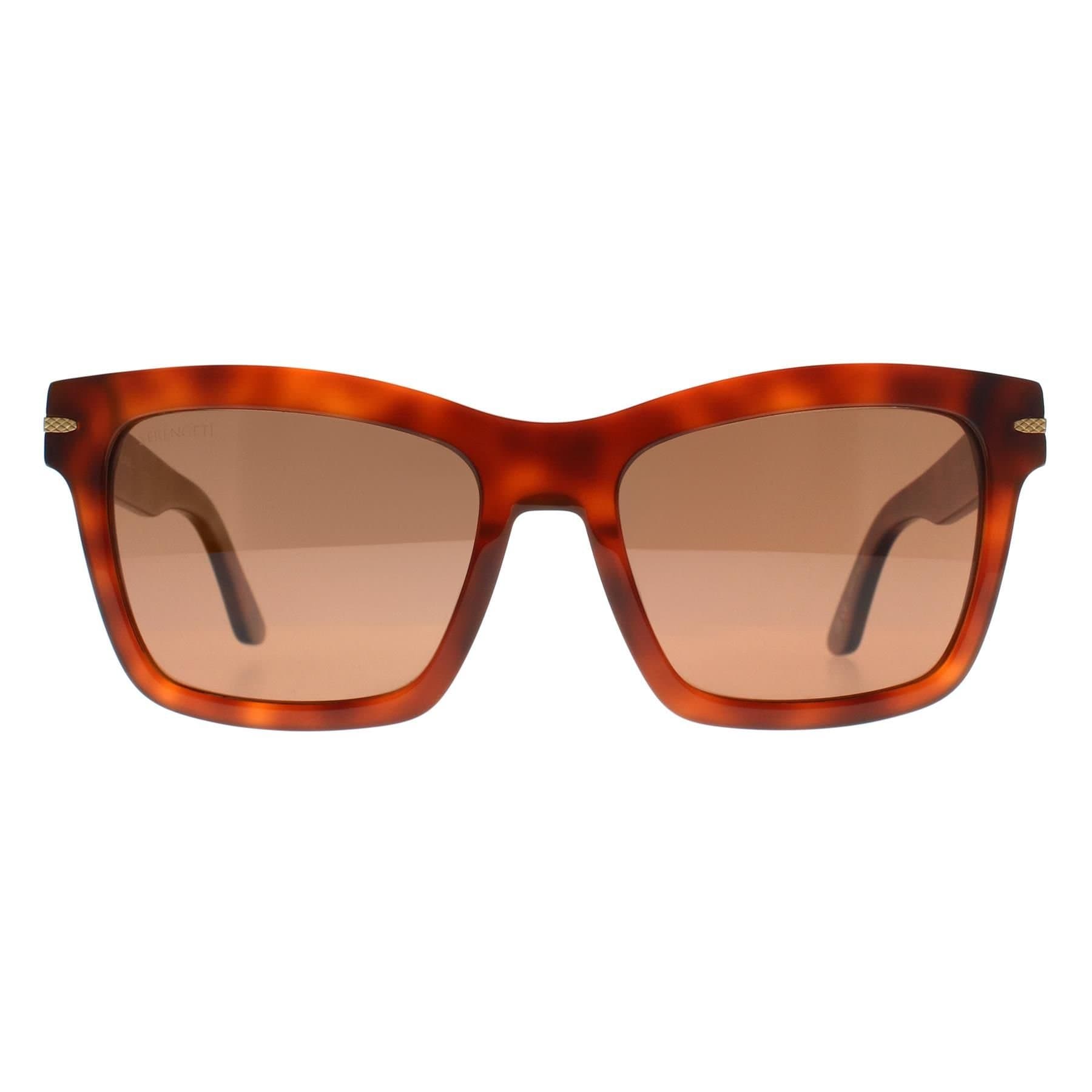 Serengeti Serengeti Women's Square Shiny Classic Havana Mineral Polarized Drivers Winona in Brown