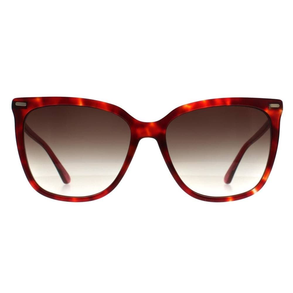Calvin Klein CALVIN KLEIN Women's Butterfly Burgundy Havana Brown Gradient CK22532S
