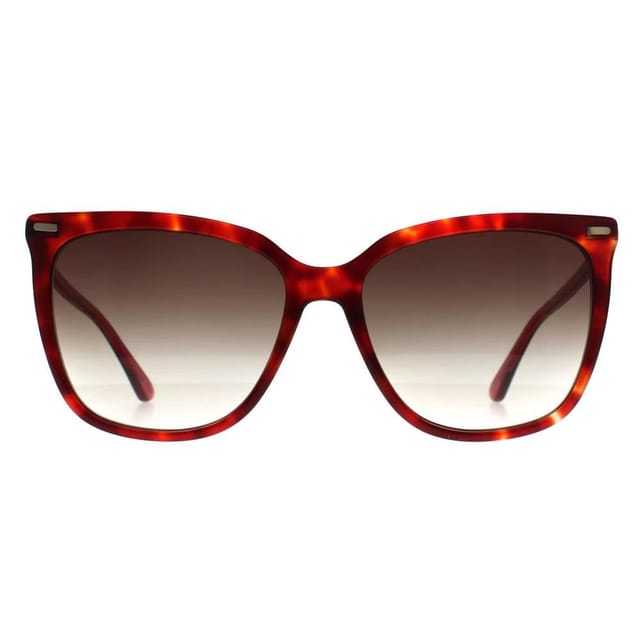 Calvin Klein CALVIN KLEIN Women's Butterfly Burgundy Havana Brown Gradient CK22532S - 2
