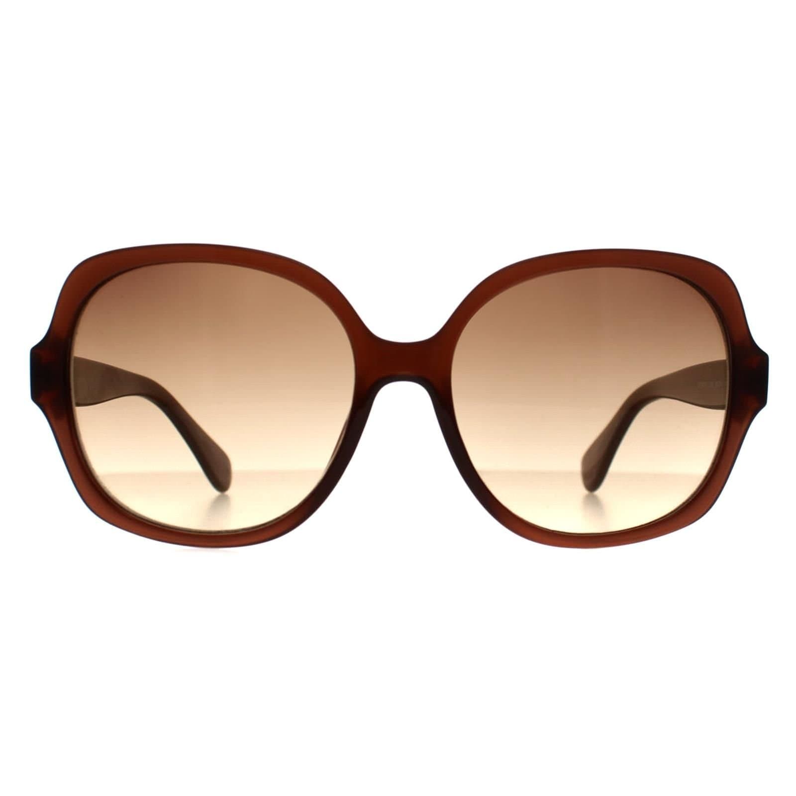Calvin Klein Calvin Klein Cat Eye Crystal Brown Gradient Sunglasses